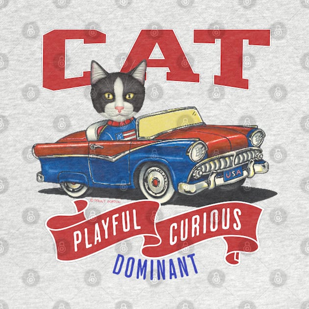 Funny cute kitty cat in a classic retro vintage car with red white and blue flags by Danny Gordon Art